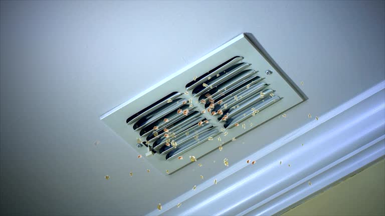 Best Air Duct Cleaning Near Me  in Marlene Village, OR
