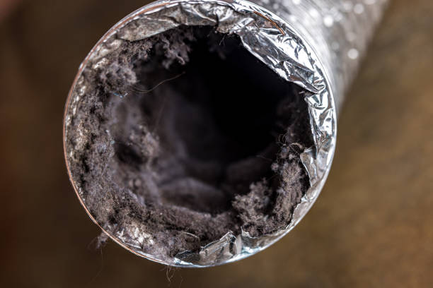 Best Ventilation Cleaning Services  in Marlene Village, OR